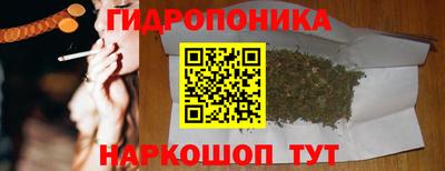 дживик Кунгур